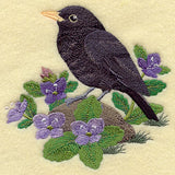 British Blackbird and Brooklime