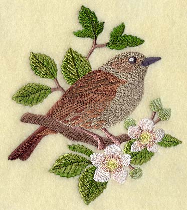 Dunnock on Blackberry Branch