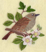 Dunnock on Blackberry Branch