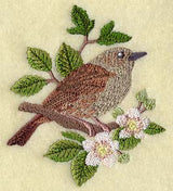 Dunnock on Blackberry Branch