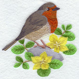 British Robin and Creeping Jenny