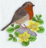 British Robin and Creeping Jenny