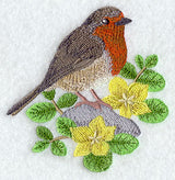 British Robin and Creeping Jenny