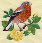 Chaffinch and English Tea Rose