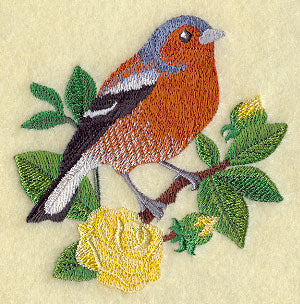 Chaffinch and English Tea Rose