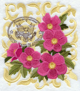 Wild Roses from America