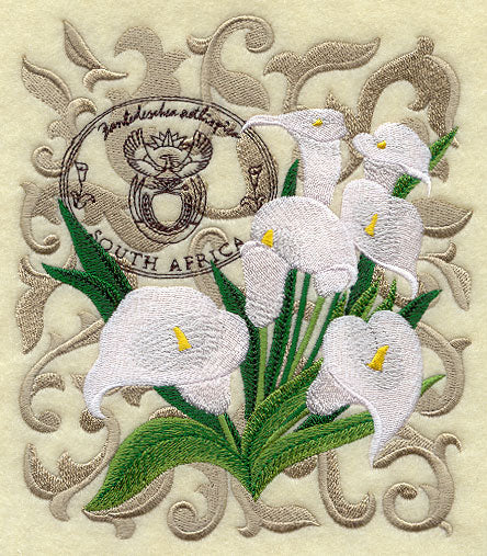 Calla Lilies from South Africa