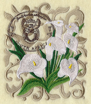 Calla Lilies from South Africa