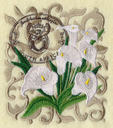 Calla Lilies from South Africa