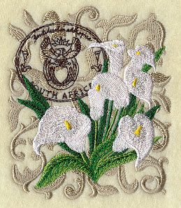 Calla Lilies from South Africa