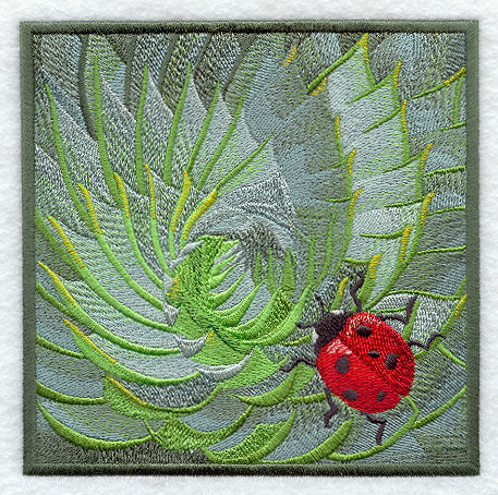 Ladybug on Succulent