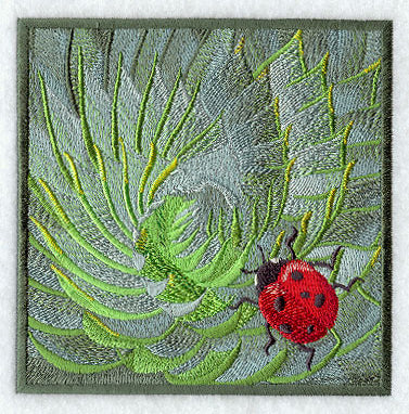 Ladybug on Succulent