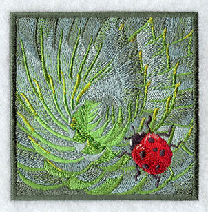 Ladybug on Succulent