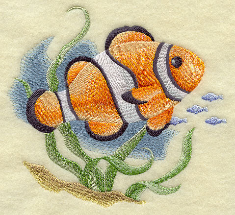 Clownfish in Watercolor