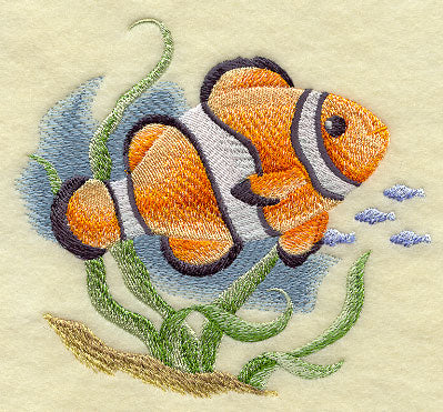 Clownfish in Watercolor