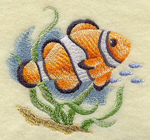 Clownfish in Watercolor