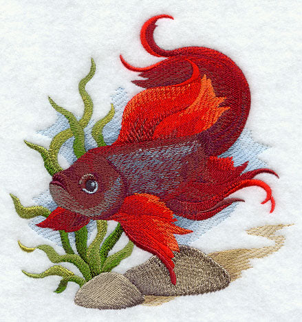 Betta Fish in Watercolor