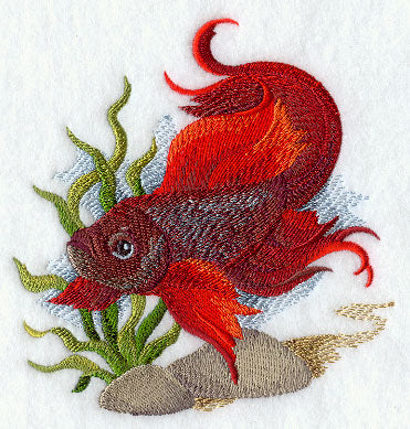 Betta Fish in Watercolor