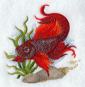 Betta Fish in Watercolor