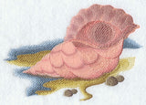 Seashell Serenity