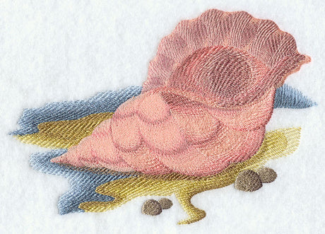 Seashell Serenity