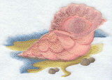 Seashell Serenity