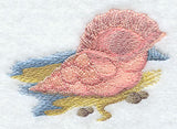 Seashell Serenity