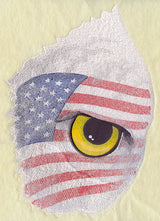 Eye of the American Eagle