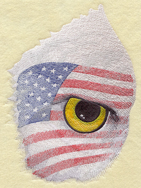 Eye of the American Eagle