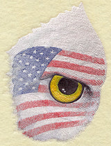 Eye of the American Eagle