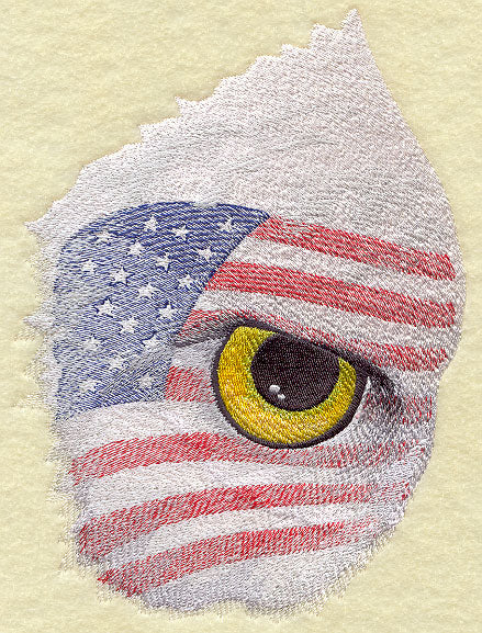 Eye of the American Eagle
