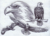Eagle Sketch