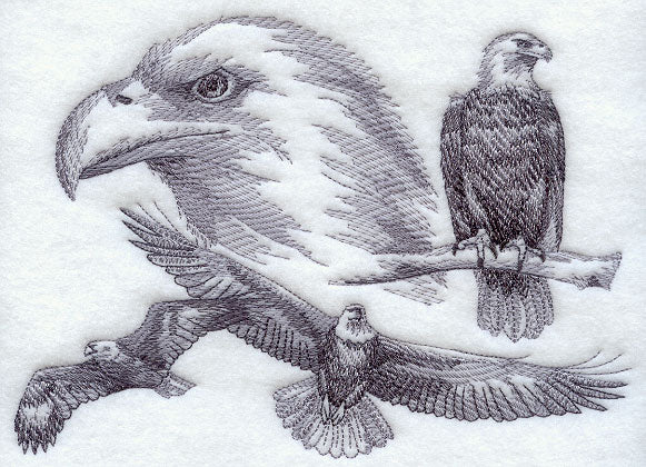 Eagle Sketch