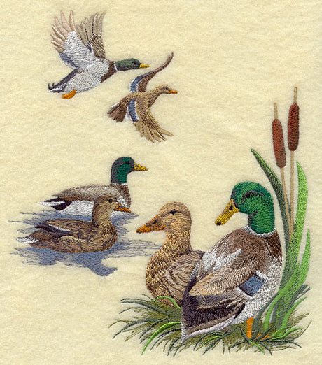 Mallard Collage