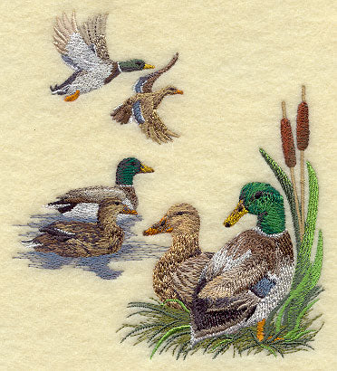 Mallard Collage