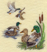 Mallard Collage