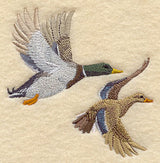 Mallard Pair in Flight