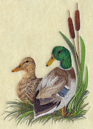 Mallard Pair on the Shore