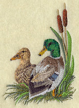 Mallard Pair on the Shore