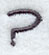 Sleek & Modern Punctuation Question Mark - 3 Inch