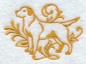 Graceful Labrador Retriever