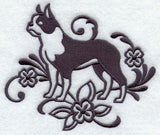 Graceful Boston Terrier