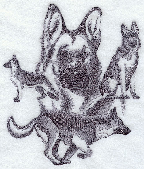 German Shepherd Sketch