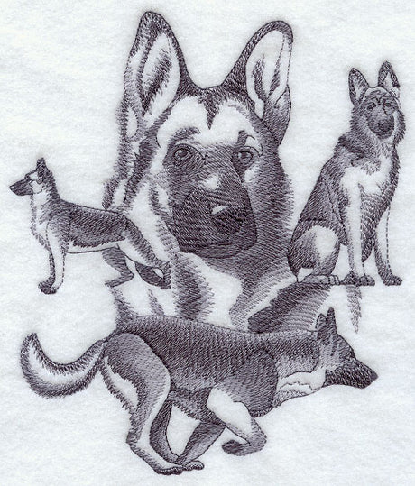 German Shepherd Sketch