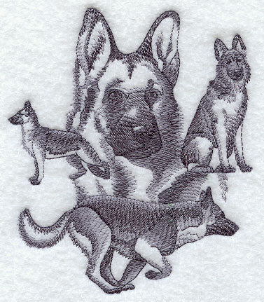 German Shepherd Sketch