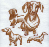 Dachshund Sketch