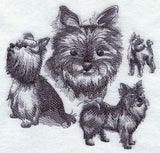 Yorkie Sketch