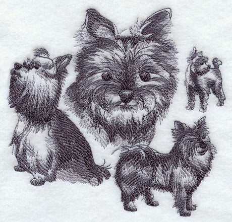 Yorkie Sketch