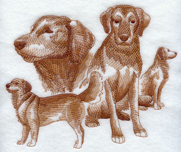 Golden Retriever Sketch