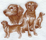 Golden Retriever Sketch